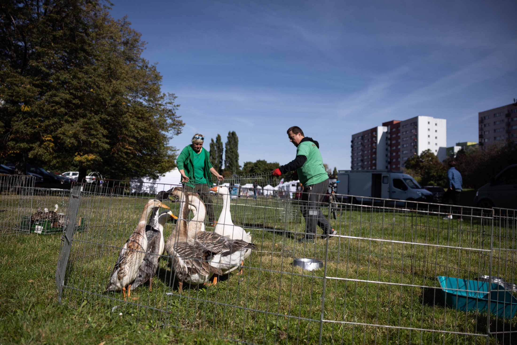 Bielański Dzień Ptaków 2025
