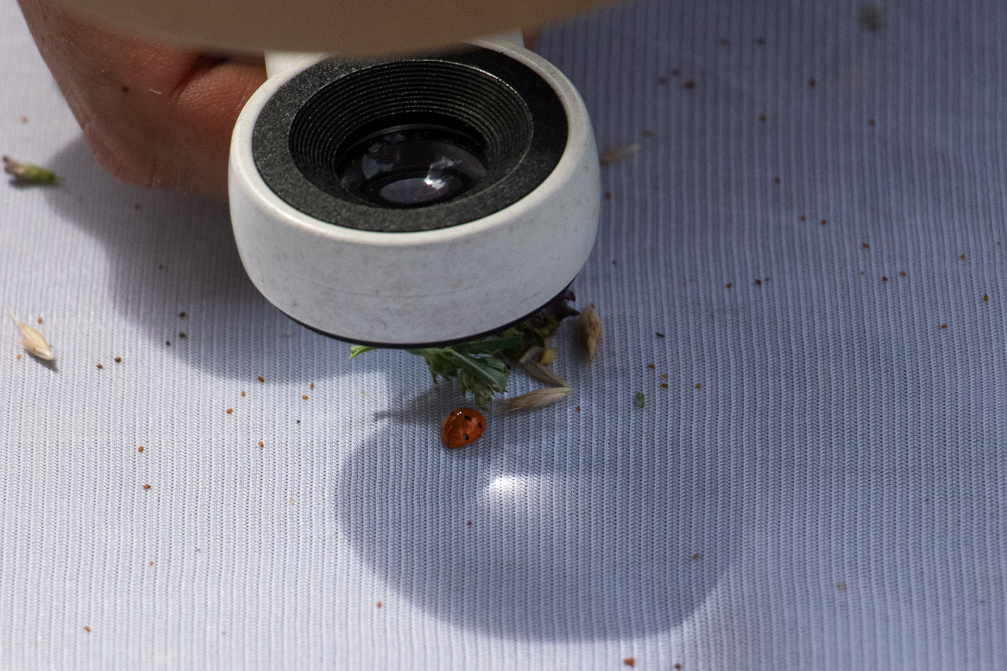 BioBlitz 2026