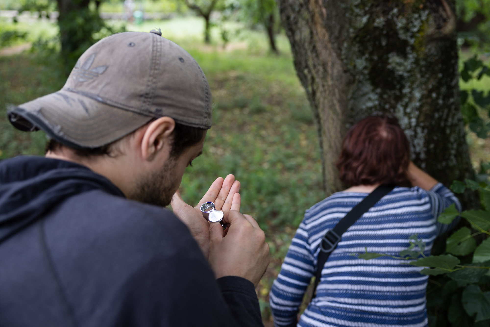 BioBlitz 2026