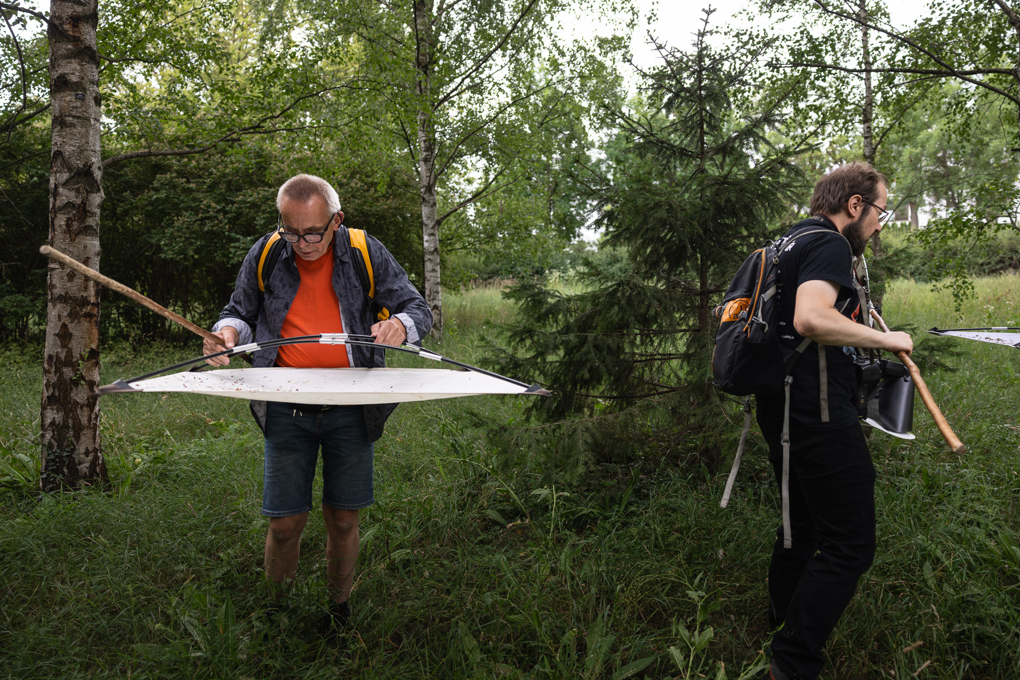 BioBlitz 2026