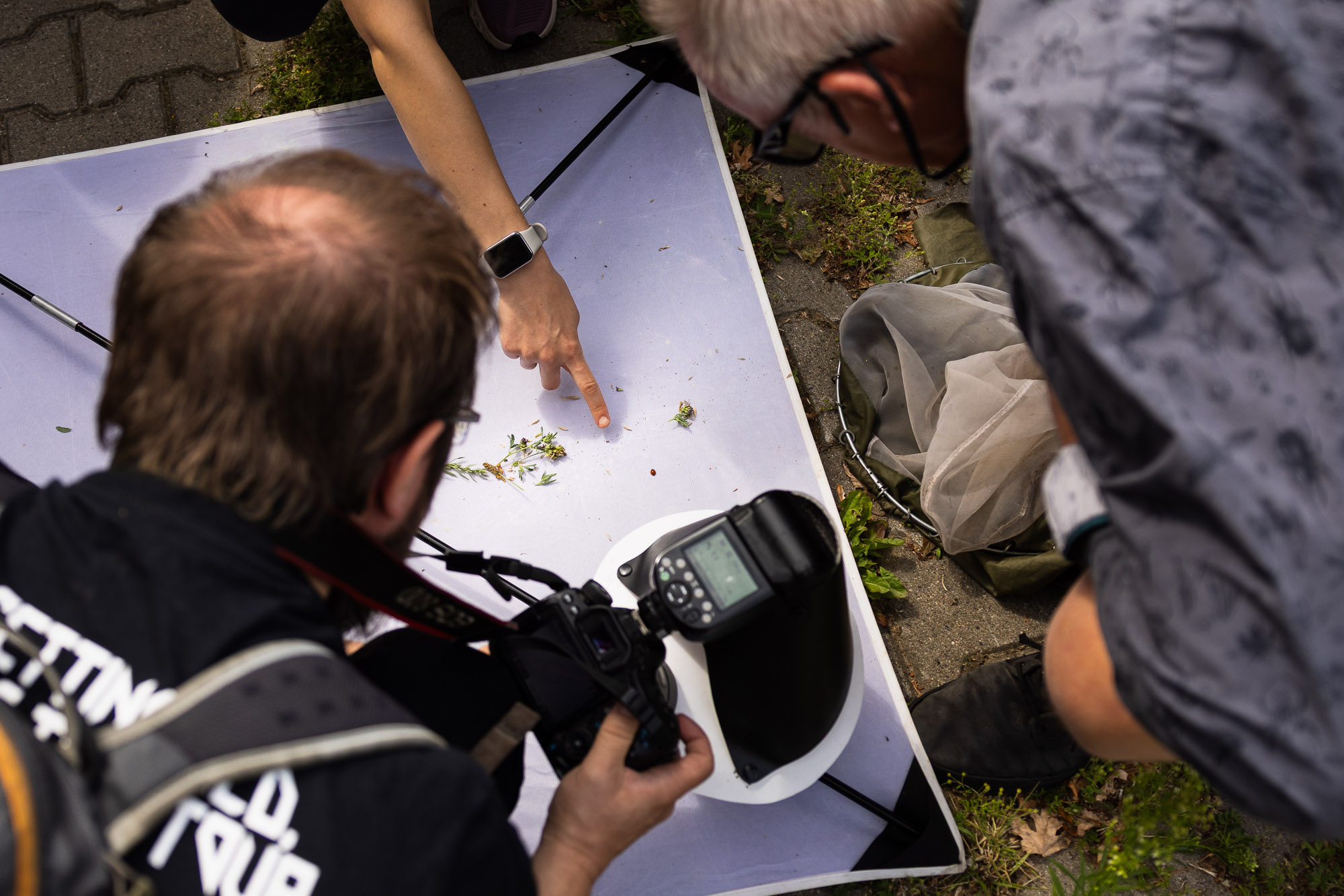 BioBlitz 2026